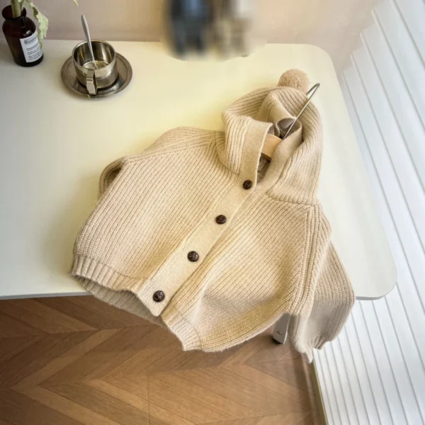 Boys Girls Sweater Chirldren Knitted Hooded Cardigan Jacket Coat Kids Infant Spring Autumn Cardigans Clothes - Image 4
