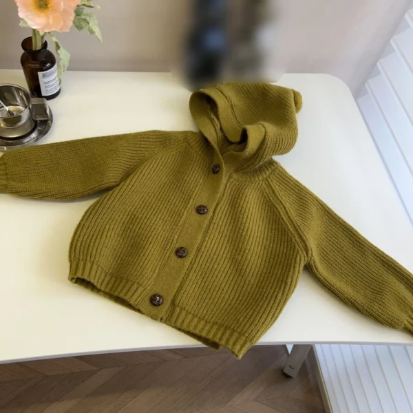 Boys Girls Sweater Chirldren Knitted Hooded Cardigan Jacket Coat Kids Infant Spring Autumn Cardigans Clothes - Image 3