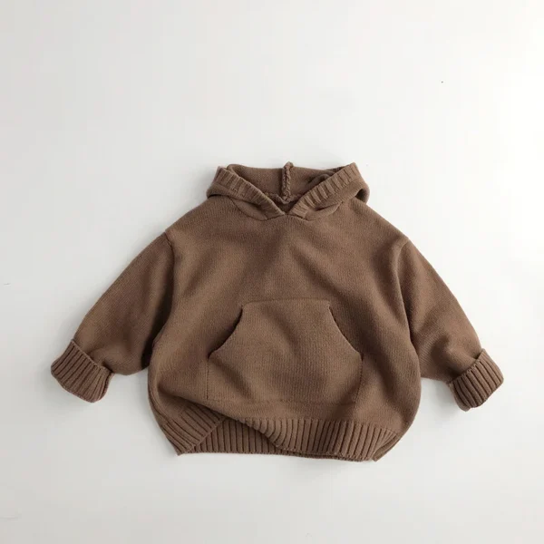Front Pocket Fine Knit Children Boys Girl Sweaters Hoodie Knit Pullover Loose Style Girl Hooded Toddler Knitwear Coat - Image 3